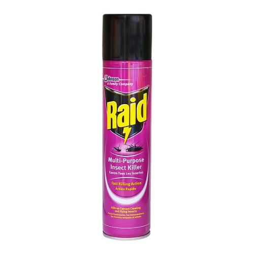 RAID INSECTICIDE SPRAY 300ML