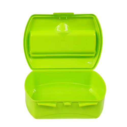 LUNCH BOX CELLO PLASTIC COMPANION MIXED COLORS