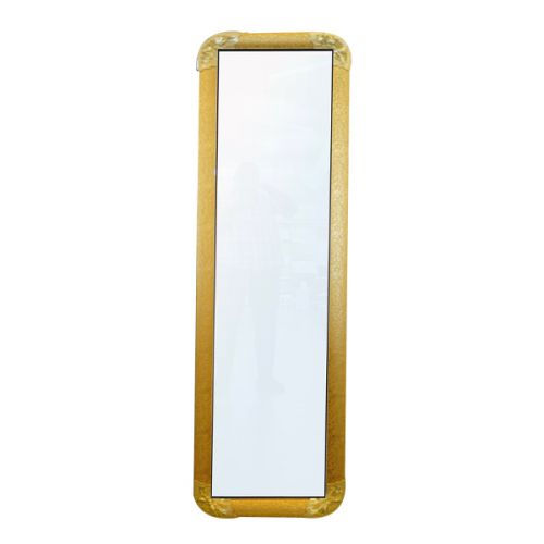 DRESSING MIRROR PLASTIC (155 X 45)CM  116