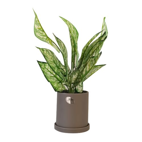 DECOR PLANTER (41 X 12.5 X 11)CM 221122-13