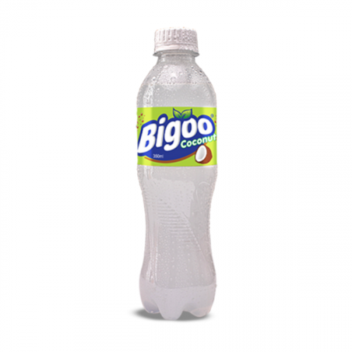 BIGOO COCONUT DRINK 350ML