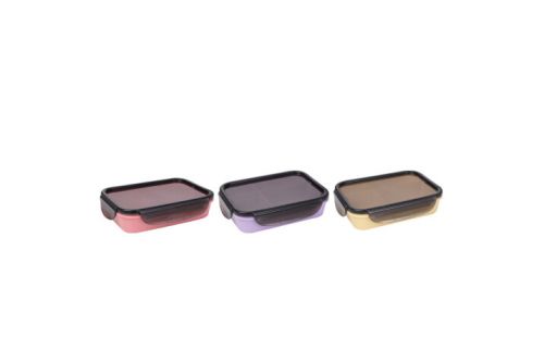 HEREVIN DIVIDED AIRTIGHT CONTAINER 2900ML PLASTIC 161575-580