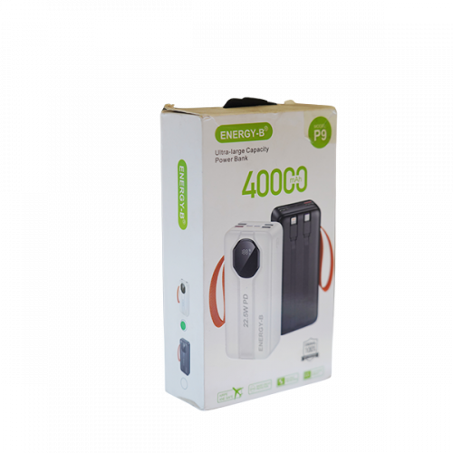 ENERGY -B POWER BANK 40000MAH P9