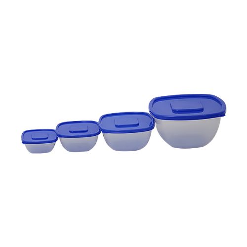 4 PCS CONTAINER SET WITH PRINTS 