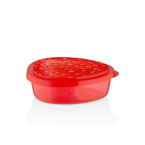 SAVER BOX STRAWBERRY PLASTIC L-00867