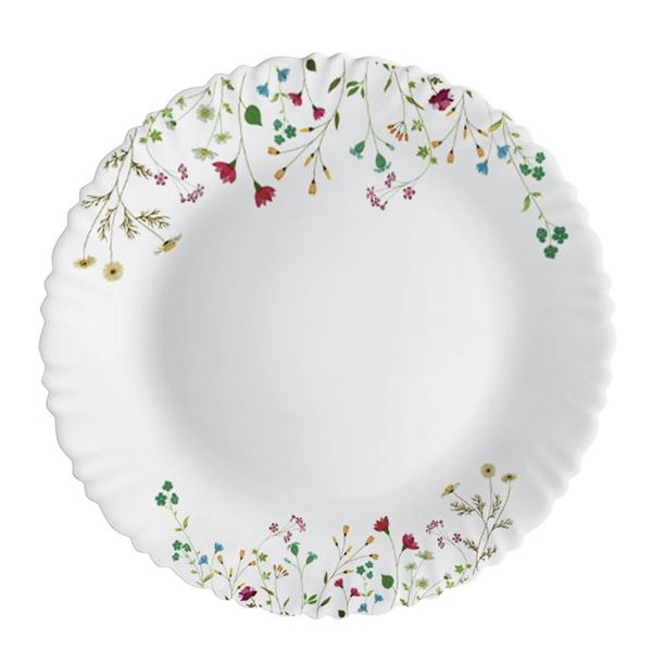 Cello top dinner plates